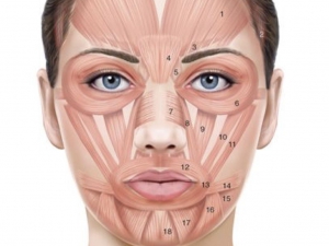 66ed47afb994b62be3f9d82a3764bac1