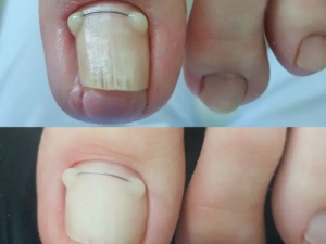 screenshot_20260107_190004_yandex-start